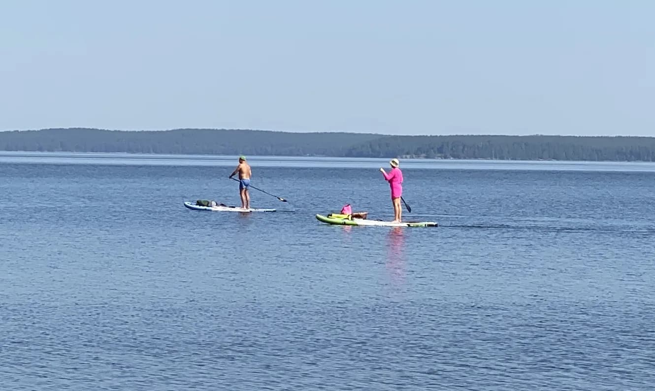 На озере Синара официально открыт сезон сапбордов 🌊