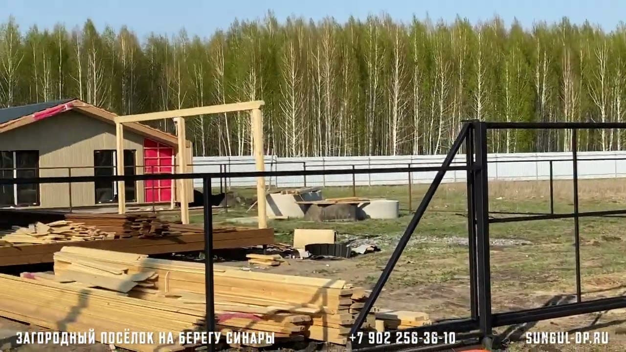 В дачный посёлок прилетели два лебедя