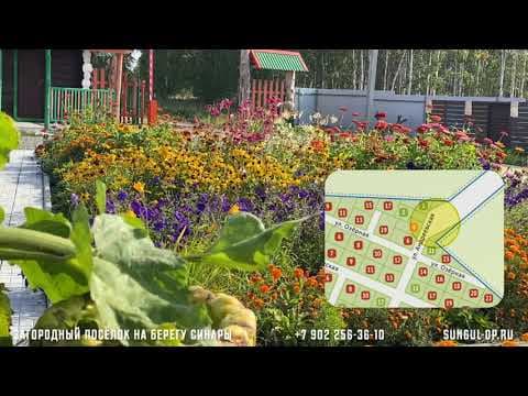 Бабье лето пришло в дачный посёлок